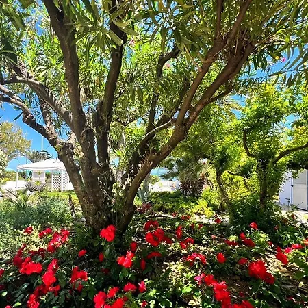 Hotel Parco Delle Rose-2