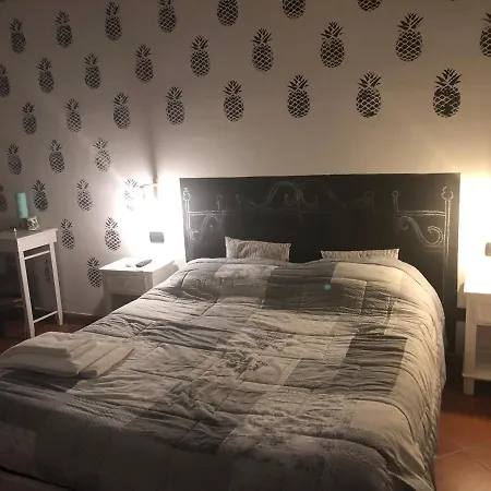 b&b ocagiuliva-3