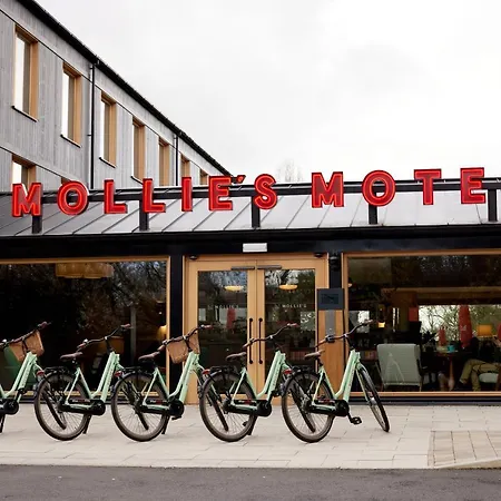 Mollie'S Bristol-3