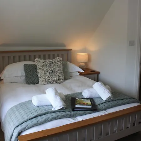 Tawburn House Boutique B & B-3