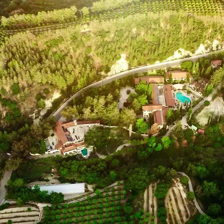 Secret Forest - Wellness Retreat & Healing Spa (Adults Only)-3