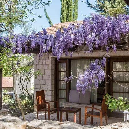 Secret Forest - Wellness Retreat & Healing Spa (Adults Only)-2