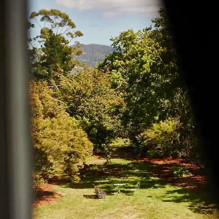 Clifton Homestead-2