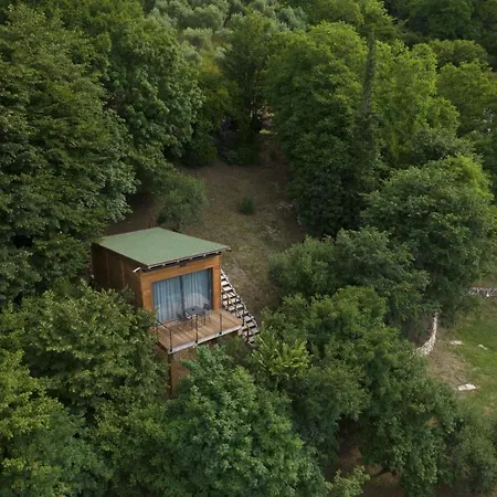 Tree House San Giorgio-2