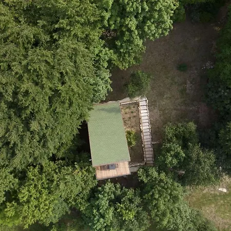 Tree House San Giorgio-3