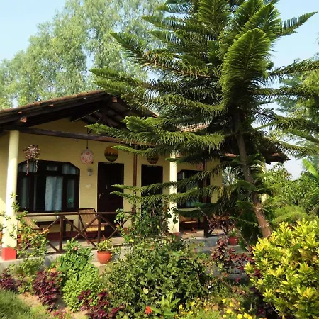Bardia Homestay Pvt. Ltd.-3