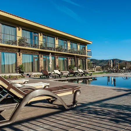 Vila Gale Douro Vineyards-2