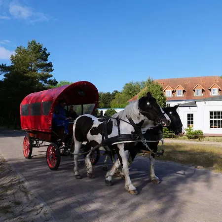Hotel Heiderose Hiddensee-3