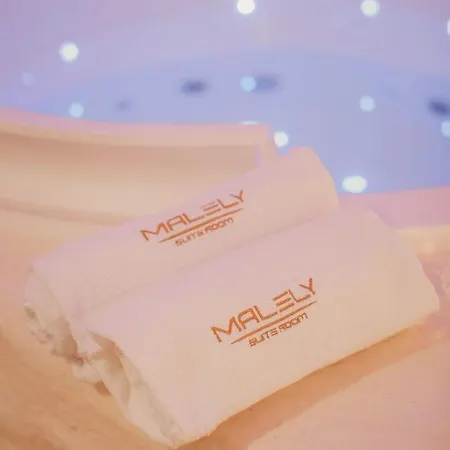 Romantic Suite With Private Jacuzzi Malely Suite-3