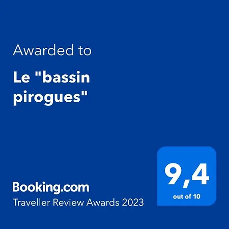 Le bassin pirogues-3