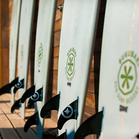 Bukubaki Eco Surf-2