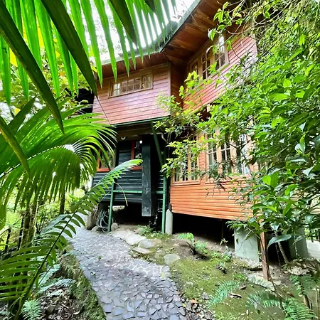 Los Quetzales Ecolodge & Spa-2