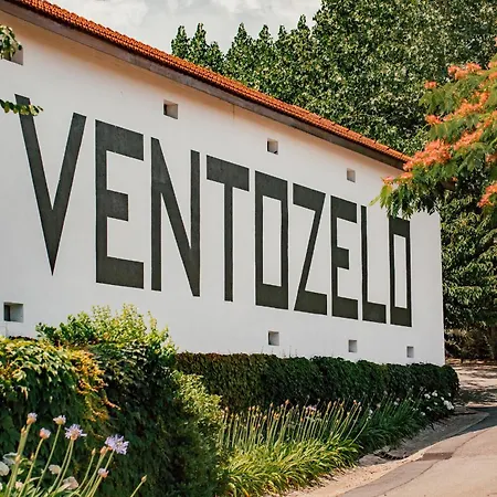 Ventozelo Hotel & Quinta-2