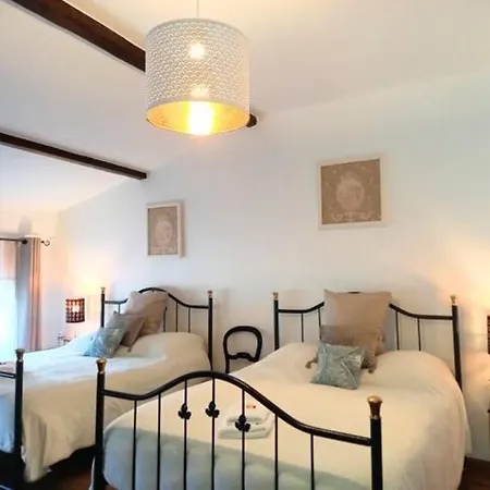 Hôtel Particulier Payan Champier-3