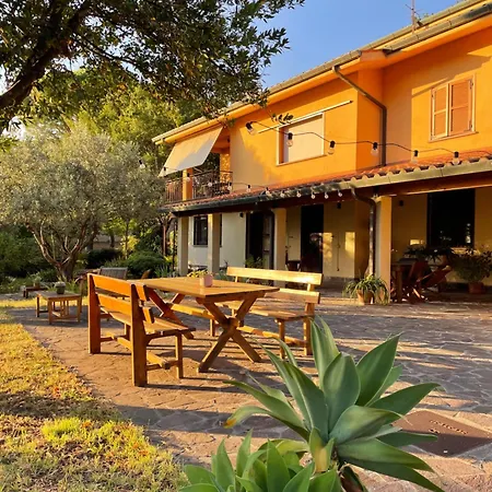 Botanea Guest House-3