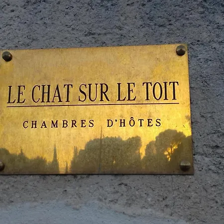 Le Chat Sur Le Toit-2
