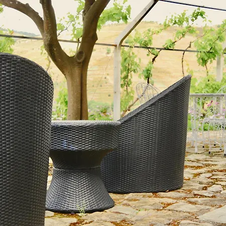 Quinta Do Tedo-2