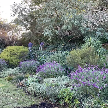 Sugarbird Manor-3