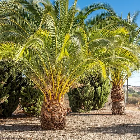 Finca de la Pansa-3