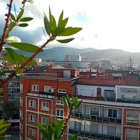 Estudio Deusto-3