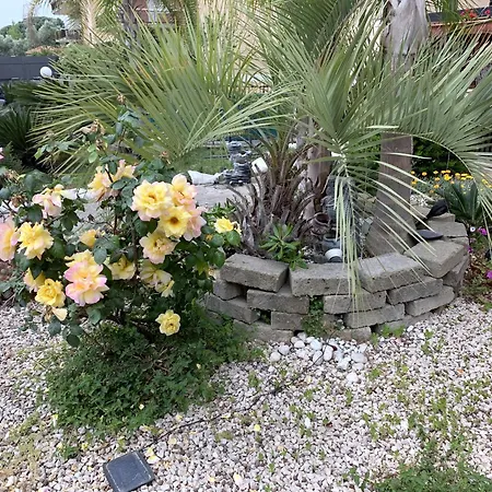 Il Giardino Di Adriana B&B-3