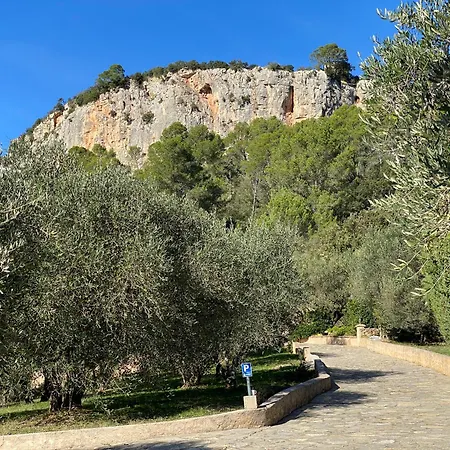 Le Mas de San Lou-2