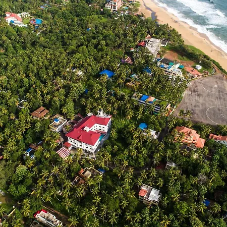 Sajjoys-3