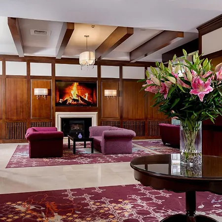 Hotel International-2