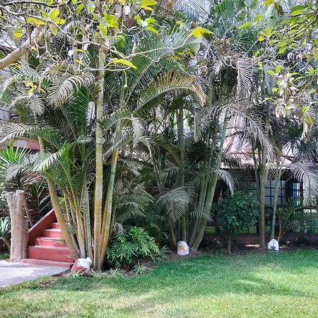 Casa del Gringo-3