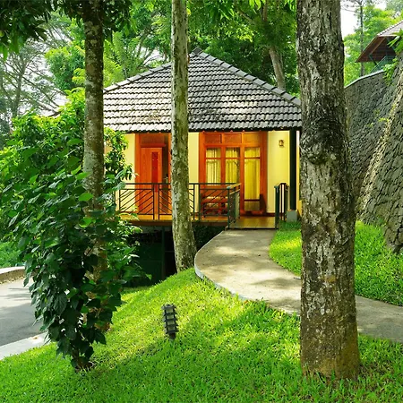 Forest Canopy Thekkady-2