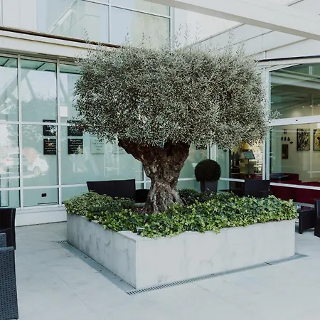 Hotel Carpi-3