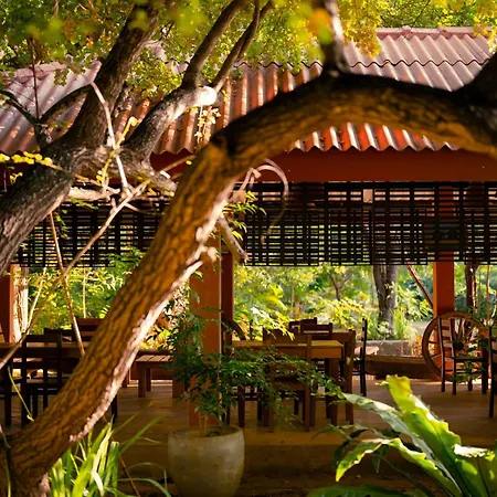 Safari Lodge Yala-2