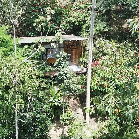 Ecohotel Alma-2