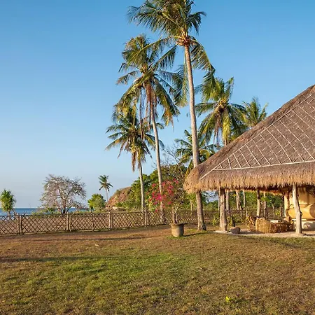 Bleu MATHIS Gili Asahan-3