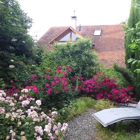 Pension Zur Rose-3