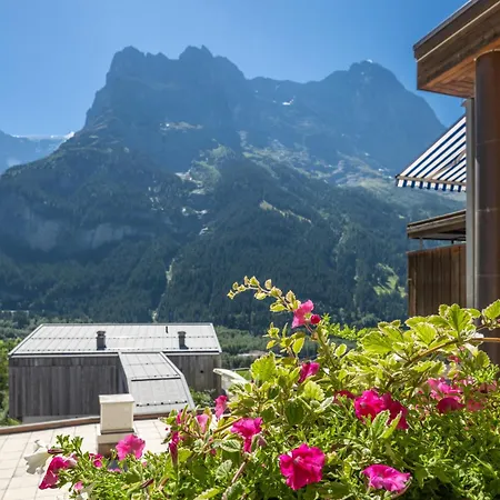 Hotel Spinne Grindelwald-2