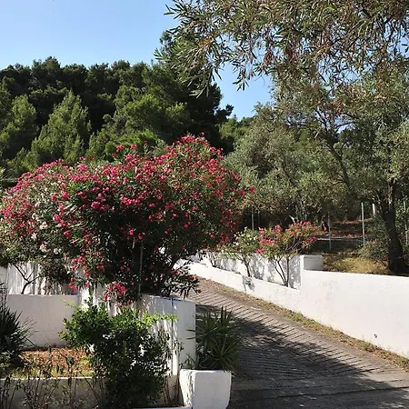 Anamar Skiathos Hotel-3