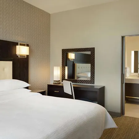 Embassy Suites By Hilton Syracuse Destiny Usa-3
