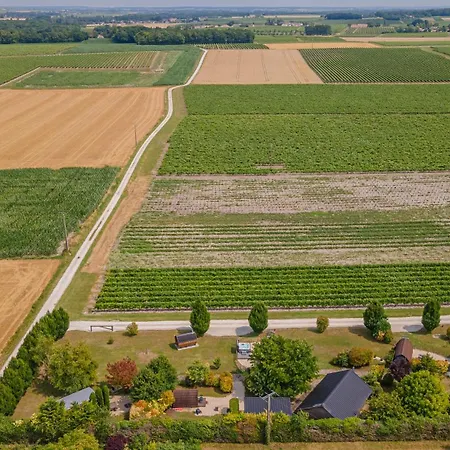 Domaine des Vignères-2
