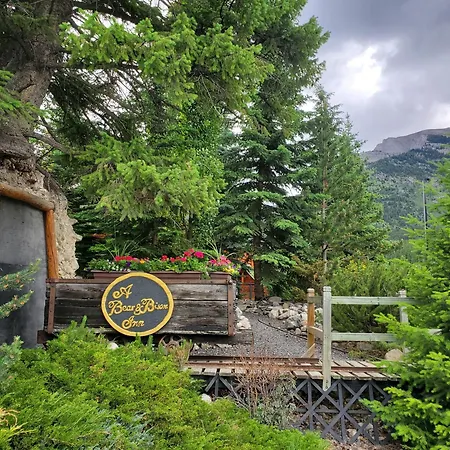 A Bear And Bison Country Inn-3