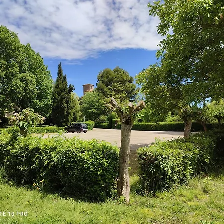 Château Saint-Martin-3