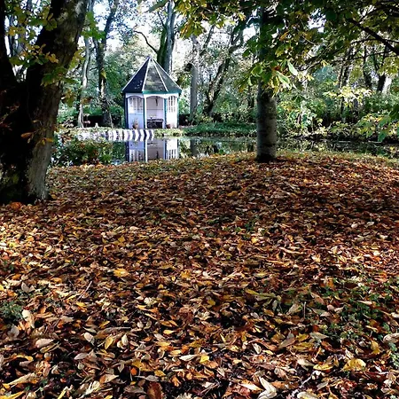 Thrumster House-3