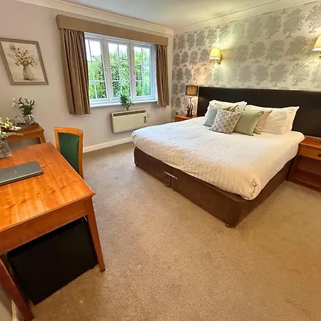 New Forest Lodge-3