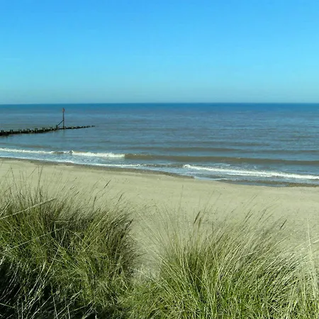 Seals Bacton-3