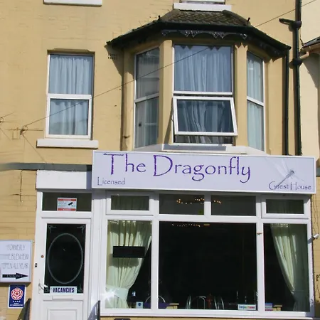 The Dragonfly-3