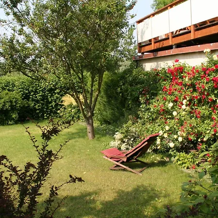 Pension Villa Beer-2