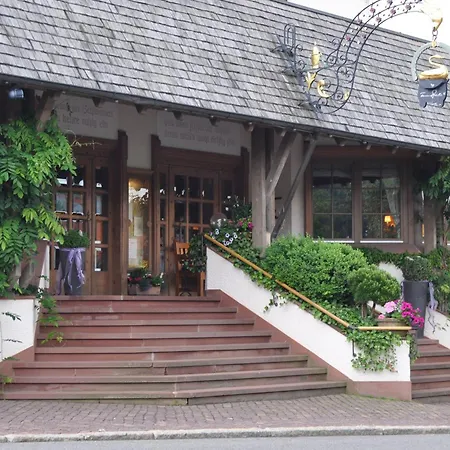 Hotel Schwanen Kälberbronn-2