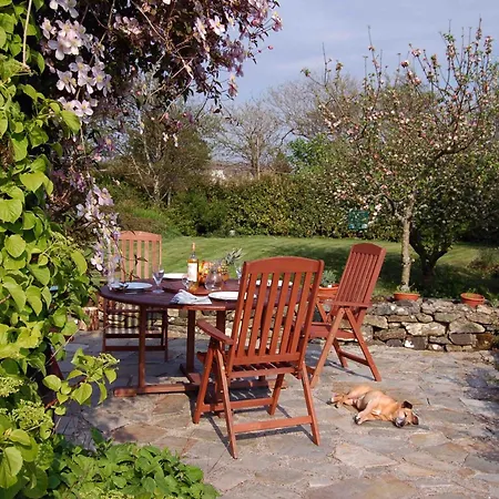 Sharamore House B&B-2