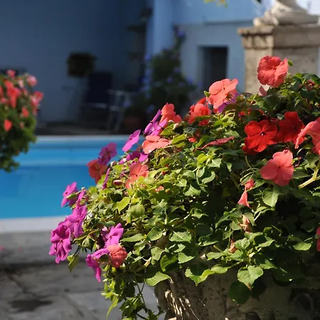 Villa Annamaria B&B-3