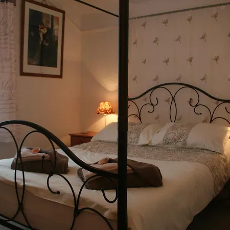The Haldon Guest House-3
